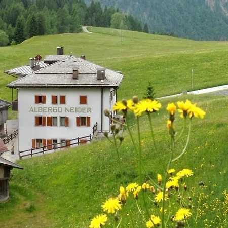 Neider - Alpine Retreat Hotell 3*